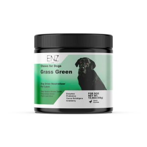 Grass Green Chews for Dogs